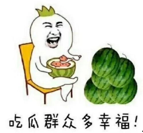 娱乐圈吃瓜用语