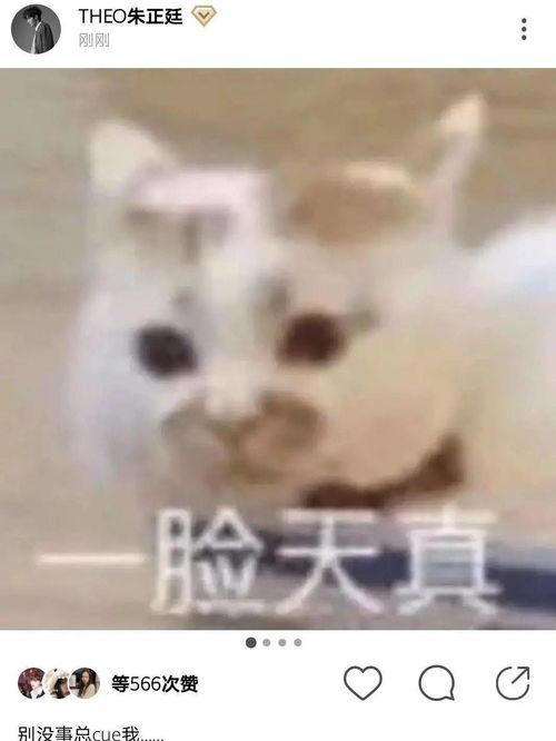 女朋友发吃瓜怎么回复