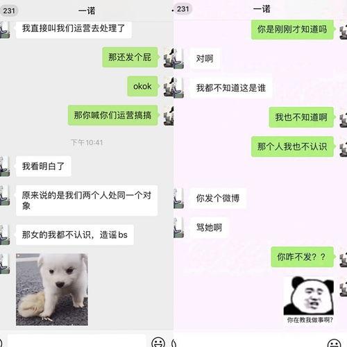 女朋友发吃瓜怎么回复