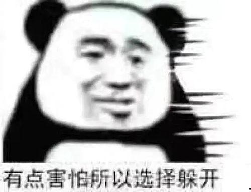 我就是个吃瓜群众图片表情包,趣味横生的网络文化现象